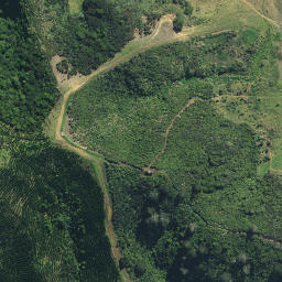 Satellite imagery of Rangihamama Pa, NZ