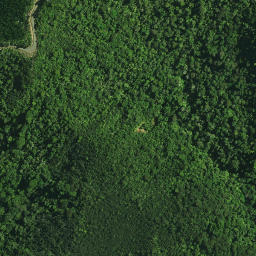 Satellite imagery of OTANGAROA, NZ