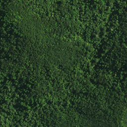 Satellite imagery of OTANGAROA, NZ