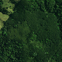 Satellite imagery of Mourea Pa, NZ