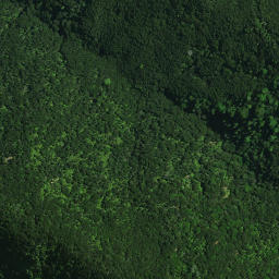 Satellite imagery of 1826 PUHANGATOHORAKA, NZ