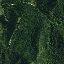 Satellite imagery of 1032, NZ