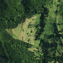 Satellite imagery of 1032, NZ