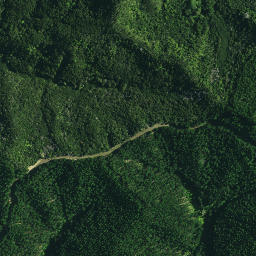 Satellite imagery of 1032, NZ