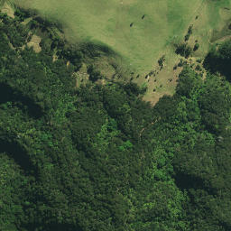 Satellite imagery of WXXX, NZ