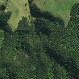 Satellite imagery of WXXX, NZ