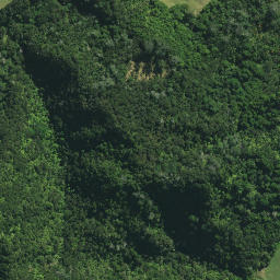 Satellite imagery of WXXX, NZ