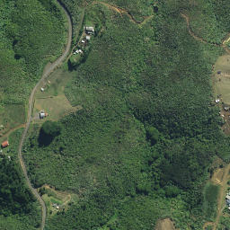 Satellite imagery of 1122, NZ