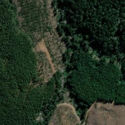 Satellite imagery of Loma Las Cardas, CL