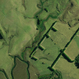 Satellite imagery of D 40, NZ