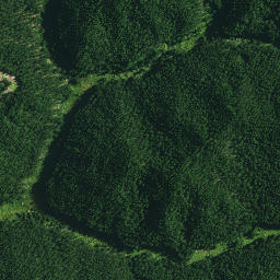 Satellite imagery of 1032, NZ
