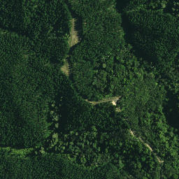 Satellite imagery of 1032, NZ