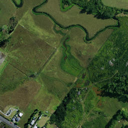 Satellite imagery of D 40, NZ