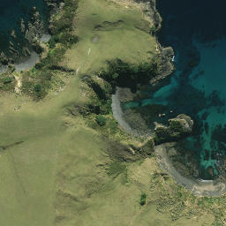 Satellite imagery of 1131, NZ