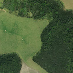 Satellite imagery of Paoeone Pa, NZ