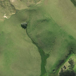 Satellite imagery of 1131, NZ
