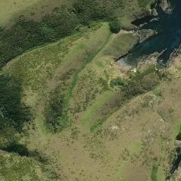 Satellite imagery of Rocky Point, NZ