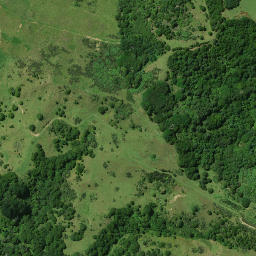 Satellite imagery of TOROHANGA, NZ