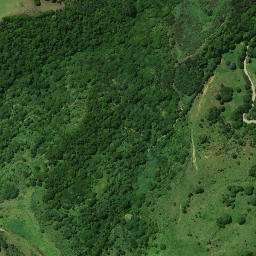 Satellite imagery of TOROHANGA, NZ
