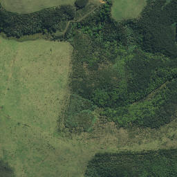 Satellite imagery of 7 No 2 (Kerikeri SD), NZ