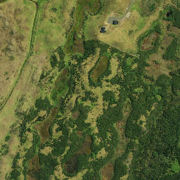 Satellite imagery of 961, NZ