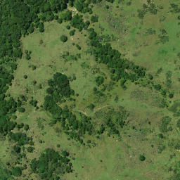 Satellite imagery of TOROHANGA, NZ