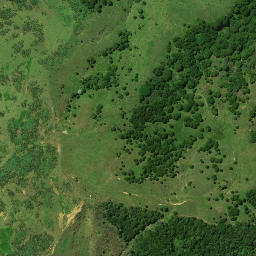Satellite imagery of TOROHANGA, NZ