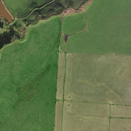 Satellite imagery of 2 NO 2 (Kerikeri SD), NZ