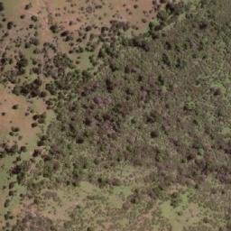 Satellite imagery of Cerro Guaicutén, CL