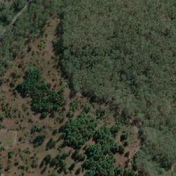 Satellite imagery of Cabbage Tree Point, AU