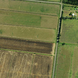 Satellite imagery of 961, NZ