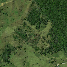 Satellite imagery of TOROHANGA, NZ