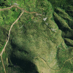 Satellite imagery of D NO 2, NZ