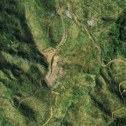 Satellite imagery of D NO 2, NZ