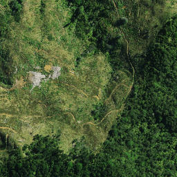 Satellite imagery of D NO 2, NZ