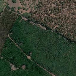 Satellite imagery of Loma Pelada, CL