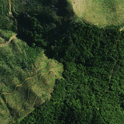 Satellite imagery of D NO 2, NZ