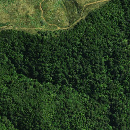 Satellite imagery of D NO 2, NZ
