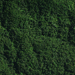Satellite imagery of D NO 2, NZ