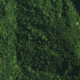 Satellite imagery of 1805 TE RANGA, NZ