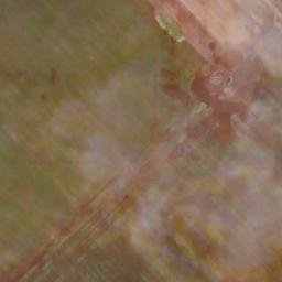 Satellite imagery of ROBE, AR