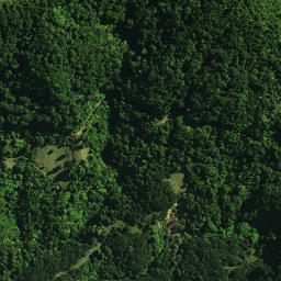 Satellite imagery of D NO 2, NZ