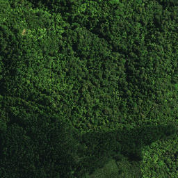 Satellite imagery of D NO 2, NZ