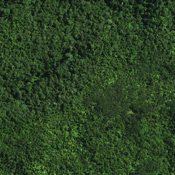 Satellite imagery of D NO 2, NZ