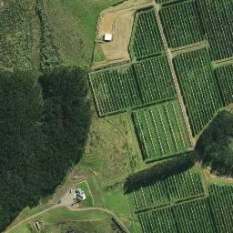 Satellite imagery of 6A NO 2, NZ