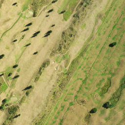 Satellite imagery of D 49, NZ