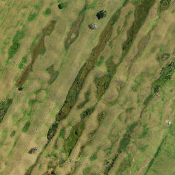 Satellite imagery of D 49, NZ