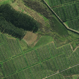 Satellite imagery of 6A NO 2, NZ