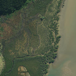 Satellite imagery of Red Cliffs, NZ