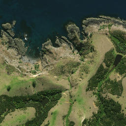 Satellite imagery of Cape Wiwiki, NZ
